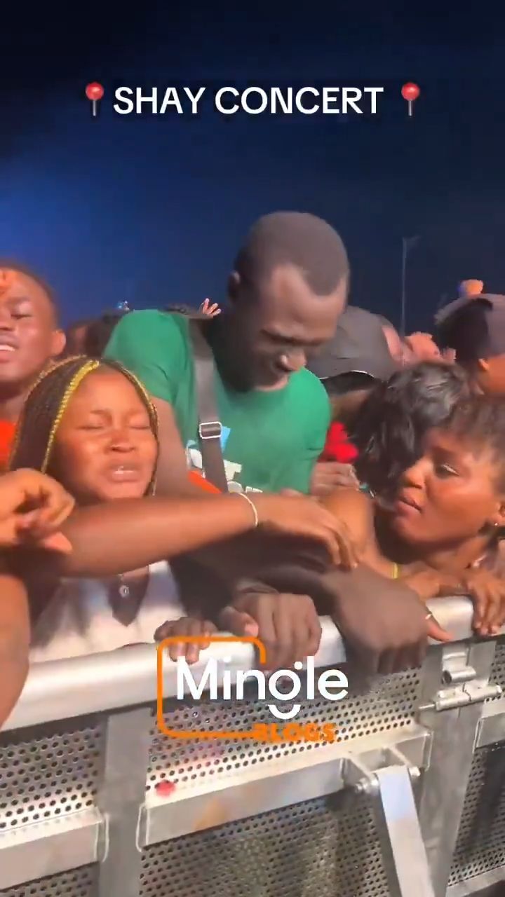 She got fucked by two guys at concert